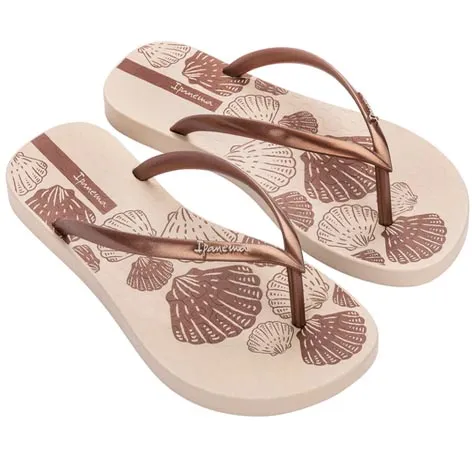 Havaianas ipanema 2025